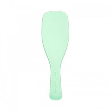 Tangle Teezer. Расческа The Wet Detangler Mint Karma