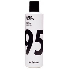 Artego Good Society 95 Gentle Volume Shampoo 250 ml