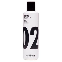 Artego Rich Color 02 Shampoo Шампунь для фарбованого волосся 250 мл