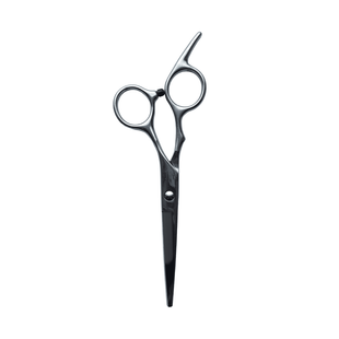 Hair Expert Metal Hairdressing Scissors, 5.5 mm
