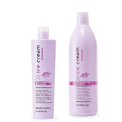 Inebrya Reconstruktor Shampoo Шампунь для сухого і пошкодженого волосся, 300 мл