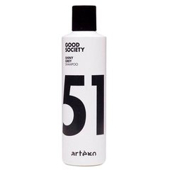 Artego Shiny Grey 51 Shampoo Шампунь против желтизны 250 мл