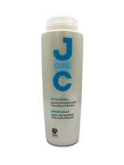 Очищающий шампунь для жирной кожи головы Barex JOC CURE 250 мл