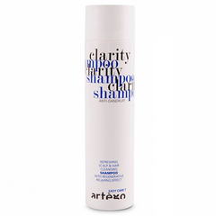 Artego Easy Care T Clarity Shampoo 250 ml
