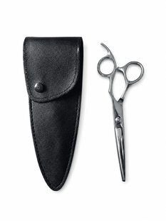 Hair Expert Metal Hairdressing Scissors in a Case 5 mm