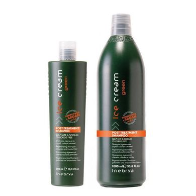 Шампунь регенерирующий для крашенных волос Inebrya Post-Treatment Shampoo, 300 мл